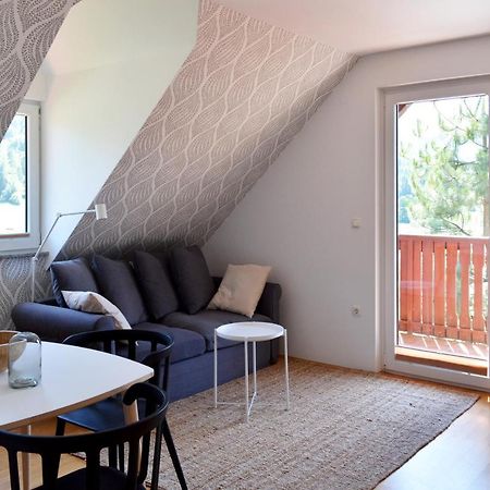 Villa Planina 克拉尼斯卡戈拉 外观 照片