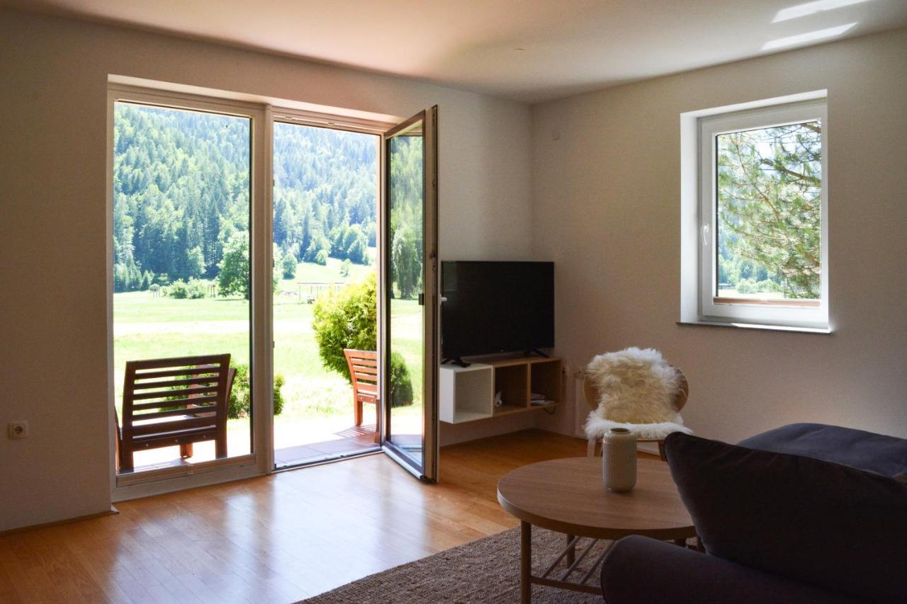 Villa Planina 克拉尼斯卡戈拉 外观 照片