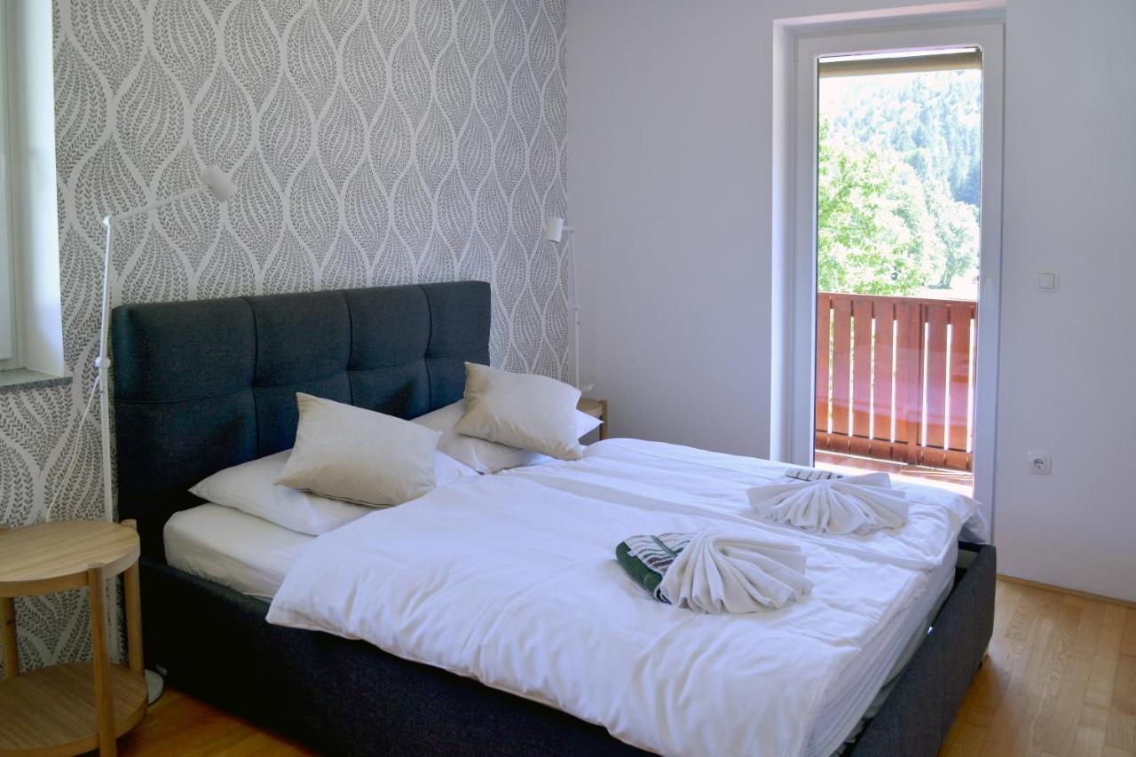 Villa Planina 克拉尼斯卡戈拉 外观 照片