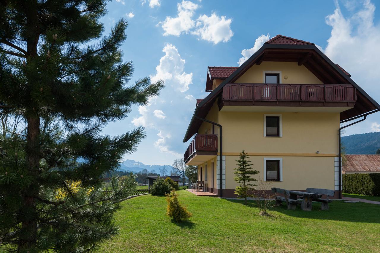 Villa Planina 克拉尼斯卡戈拉 外观 照片