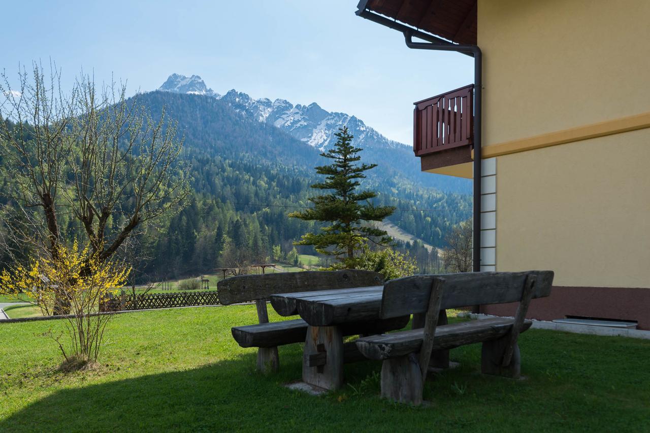 Villa Planina 克拉尼斯卡戈拉 外观 照片