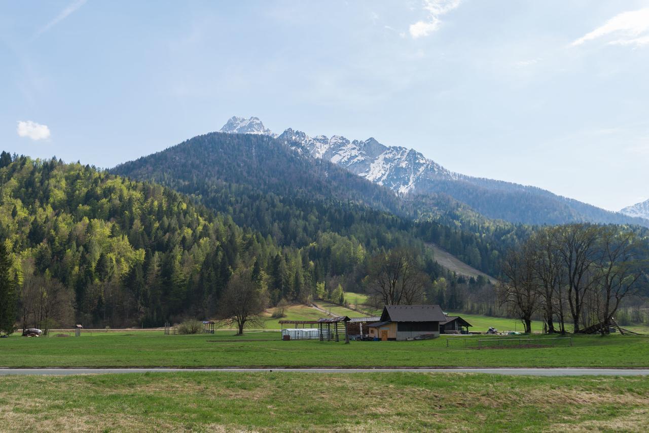 Villa Planina 克拉尼斯卡戈拉 外观 照片