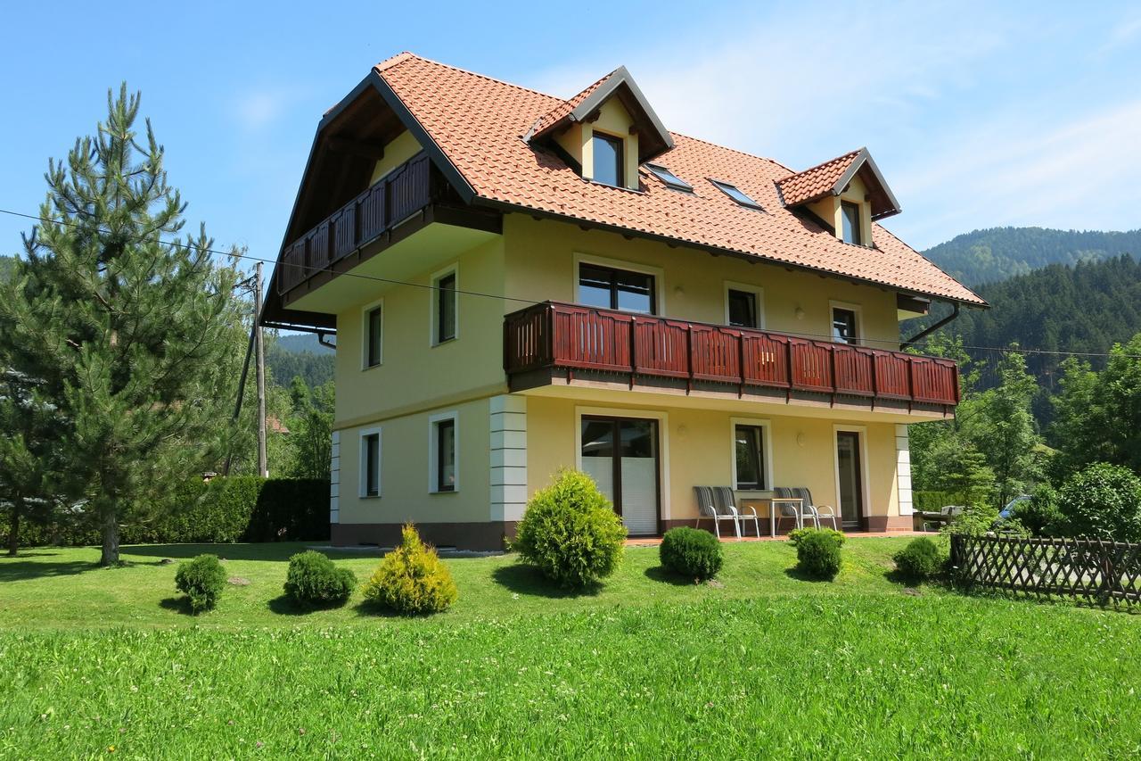 Villa Planina 克拉尼斯卡戈拉 外观 照片