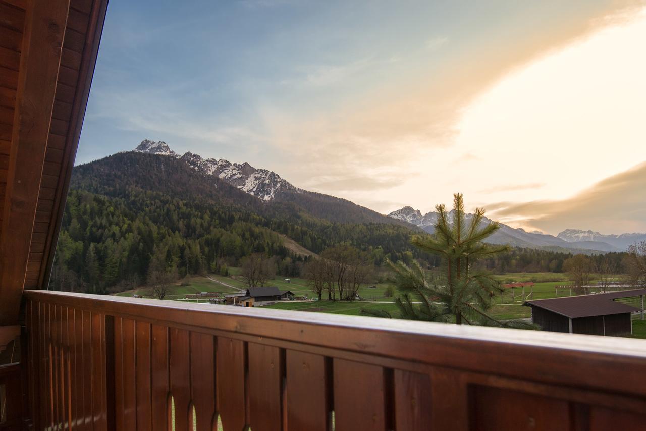 Villa Planina 克拉尼斯卡戈拉 外观 照片