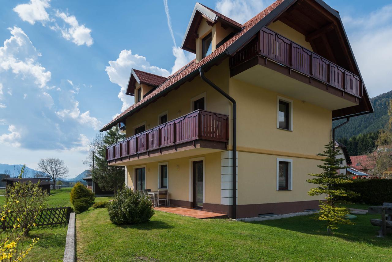 Villa Planina 克拉尼斯卡戈拉 外观 照片